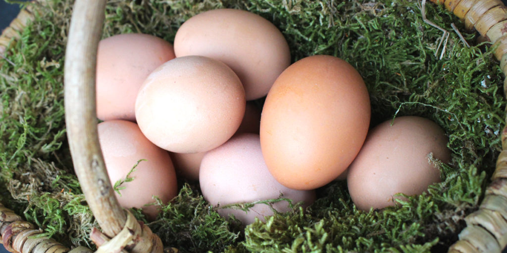 Eier- Eiweiß/ Eigelb aufbewahren