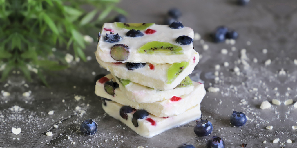 frozen yoghurt blog