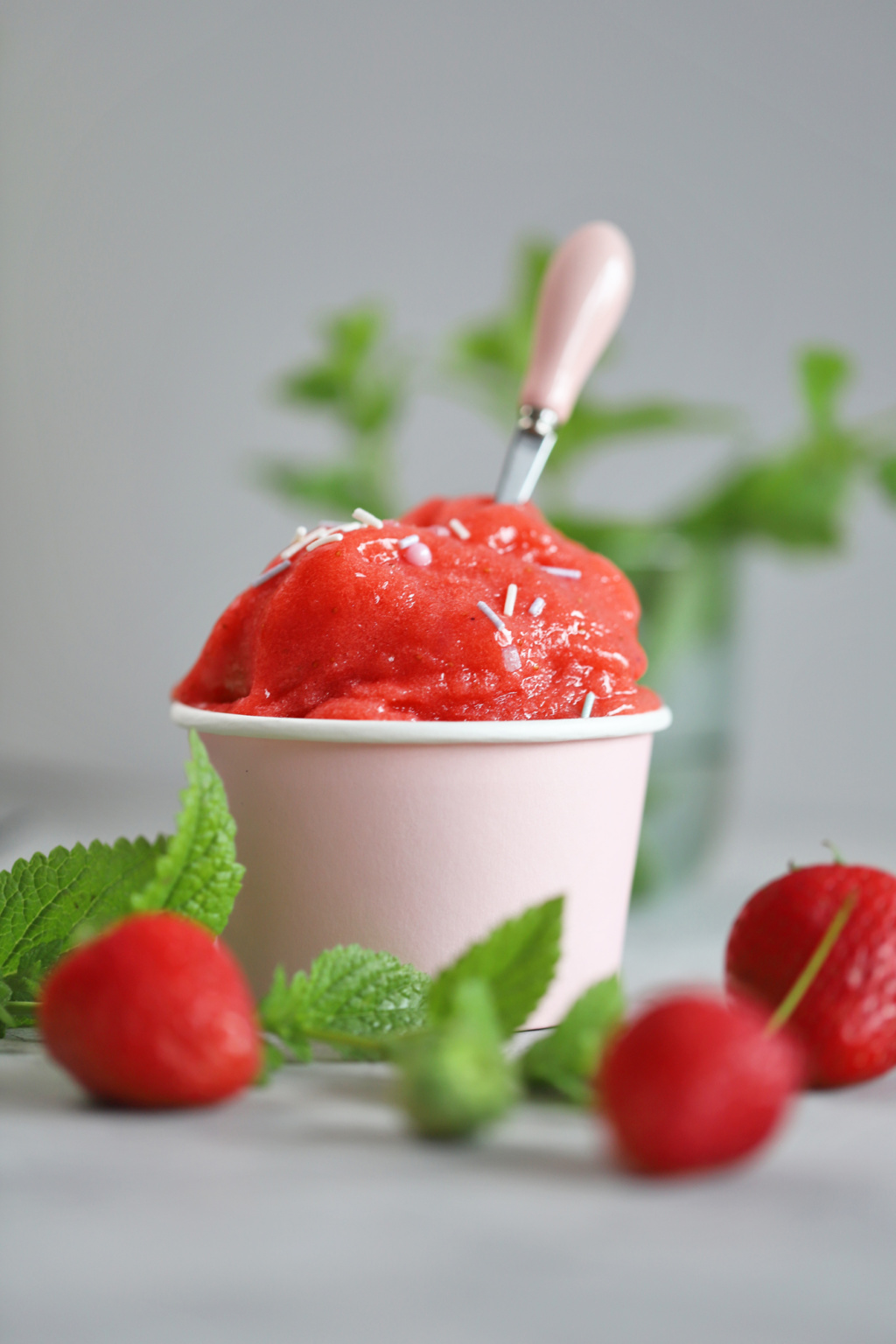 Erdbeer Sorbet -Eisgekühlt (auch lecker mit 100% Prosecco) - Zimtliebe ...