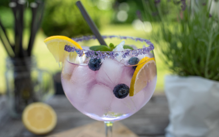 Johannisbeer Tanqueray Gin Tonic mit dunklen Beeren